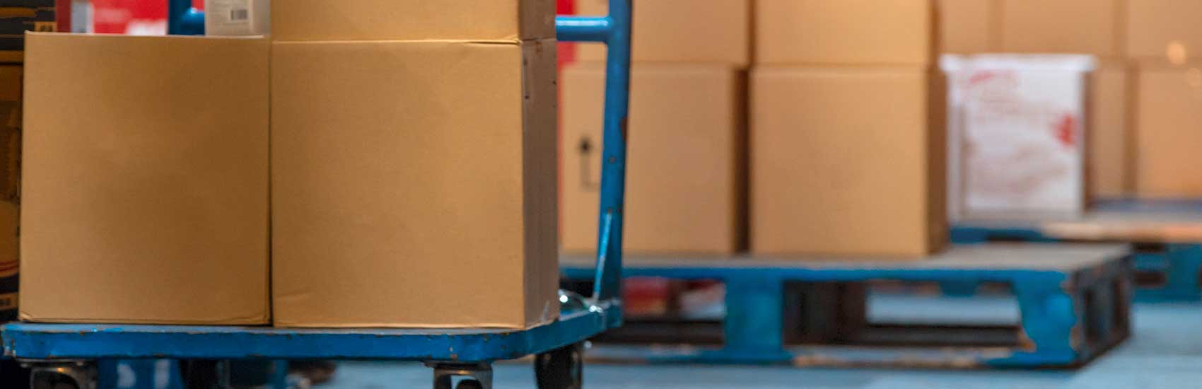 Growing Retailer Needed Immediate Help Securing Fulfillment Center